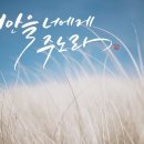 평안 - 구로구 디지털로27길 124-10 | 평안