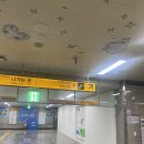 대경세탁소 | [임신 준비] 대경CT영상의학과에서 자궁나팔관조영술 검사받기
