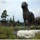 오수의견고을협동조합 이미지