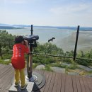 6.25전쟁 참전기 | 파주 아이랑 갈만한곳 오두산 통일전망대