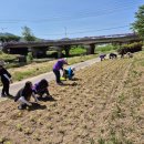 회야강변 이미지