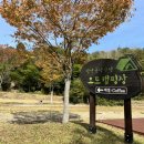 전남 담양 금성산성 오토캠핑장 사이트 C4 후기 (feat. 가을 단풍캠)