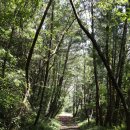 제주 올레길 21코스 이미지