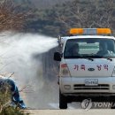 임피농장 이미지