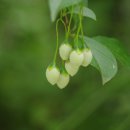수리산산림욕장 이미지