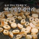 버미 | 광안리 막창 맛집 | 뚱막창이 맛있는 버미막창 광안리 내돈내산 후기