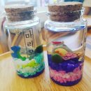 지올 | [부산금정 감성어항] 아쿠아온(Aqua on)에서 마리모 DIY 체험 및 반려어 베타를 우리집으로~