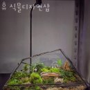 남양주꽃배달 휴 식물디자인샵 퀵배달가격