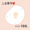 쌍동농장 | [임신 16 기록] 임신중기/아기주수어플추천/ 센트리움산후조리원 예약(꿀팁포함)/ 2차기형아검사