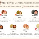 연백딸기모찌 - 연수구 | 연백딸기모찌