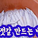 갈치젓갈 만드는 방법 이미지