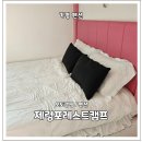 제령포레스트캠프
