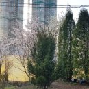 부천자동차검사정비 이미지