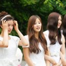 초롱 Daum카페
