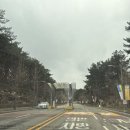 STC rehab course 후기