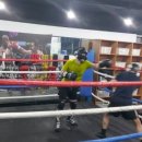 와룡복싱 이미지