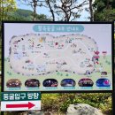 충주 활옥동굴 아기랑 방문 후기(투명 카약, 와사비 아이스크림)