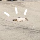 영어조합법인 해담인 이미지