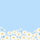 에이치필라테스 - 노원구 월계로 296-14 | 에이치필라테스
