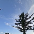 더대청호 이미지