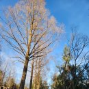 금강 농장 | 둘레길, 트레킹 코스 : 교룡산 국민관광지 - 보성마을 진입 - 금강마을진입 - 교룡산관광지 원점회귀