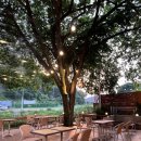 용인 처인구 카페 - 자연의 밥 로송 옆 로송커피