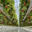 남상주농업협동조합 이미지