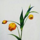 보타니컬화 이미지