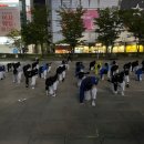 HTS 경희대 석사 태권도장 이미지