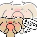 우림플라워 - 공주시 무령로 300 | 우림플라워