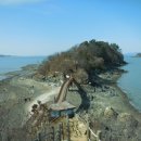 방아머리공원(솔밭) 이미지