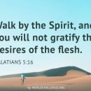 Verse of the day and prayer_260620 이미지