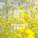 서신국제 이미지