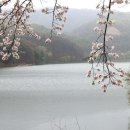 청룡저수지 이미지