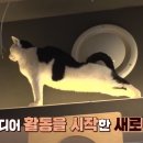 태리농장 이미지