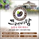 뜨렌비 이미지