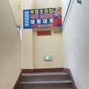 부경초장 이미지