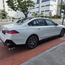 화이트브라운