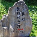 돌리네습지 (산경산악) 이미지