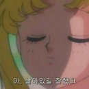 남이섬여행펜션 이미지