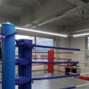 와일드짐 이미지