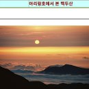 뚜뚜