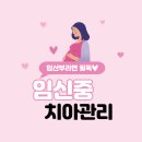 서울바온치과 네이버블로그