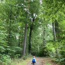 둥지유치원 | [독일 숲유치원] 숲 유치원 졸업식: 올빼미가 날아오르다