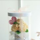 화요일플라워 이미지