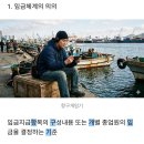 직무급 설계절챠!! 소개시켜줘야쥬🥴(유미T 2기 5회차 인사 첨삭평) 이미지