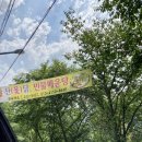 인하이드 이미지