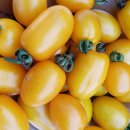 세아농장 이미지