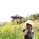 삼향천4 이미지