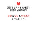 빨리셀프크리닝 이미지